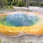 Yellowstone National Park