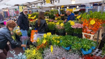 Flower Market (Amsterdam)