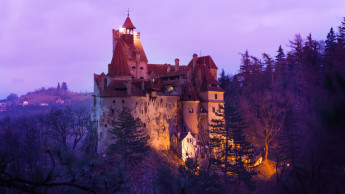 Bran Castle (Rumænien)